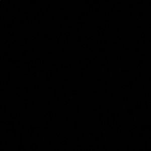 Meet your Posher, Leon